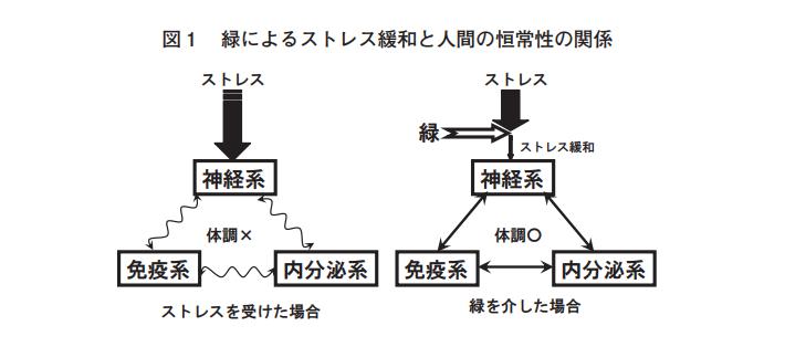 千葉大学園芸学部 岩崎准教授のお話ー環境健康学とガーデンセラピー グリーンセラピー 岡山のガーデンセラピー専門店グリーンセラピー 岡山のガーデンセラピー専門店